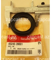 Hyundai elantra (XD) 2000-2006 salnik qranat 